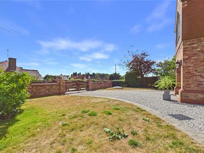 Picture 37